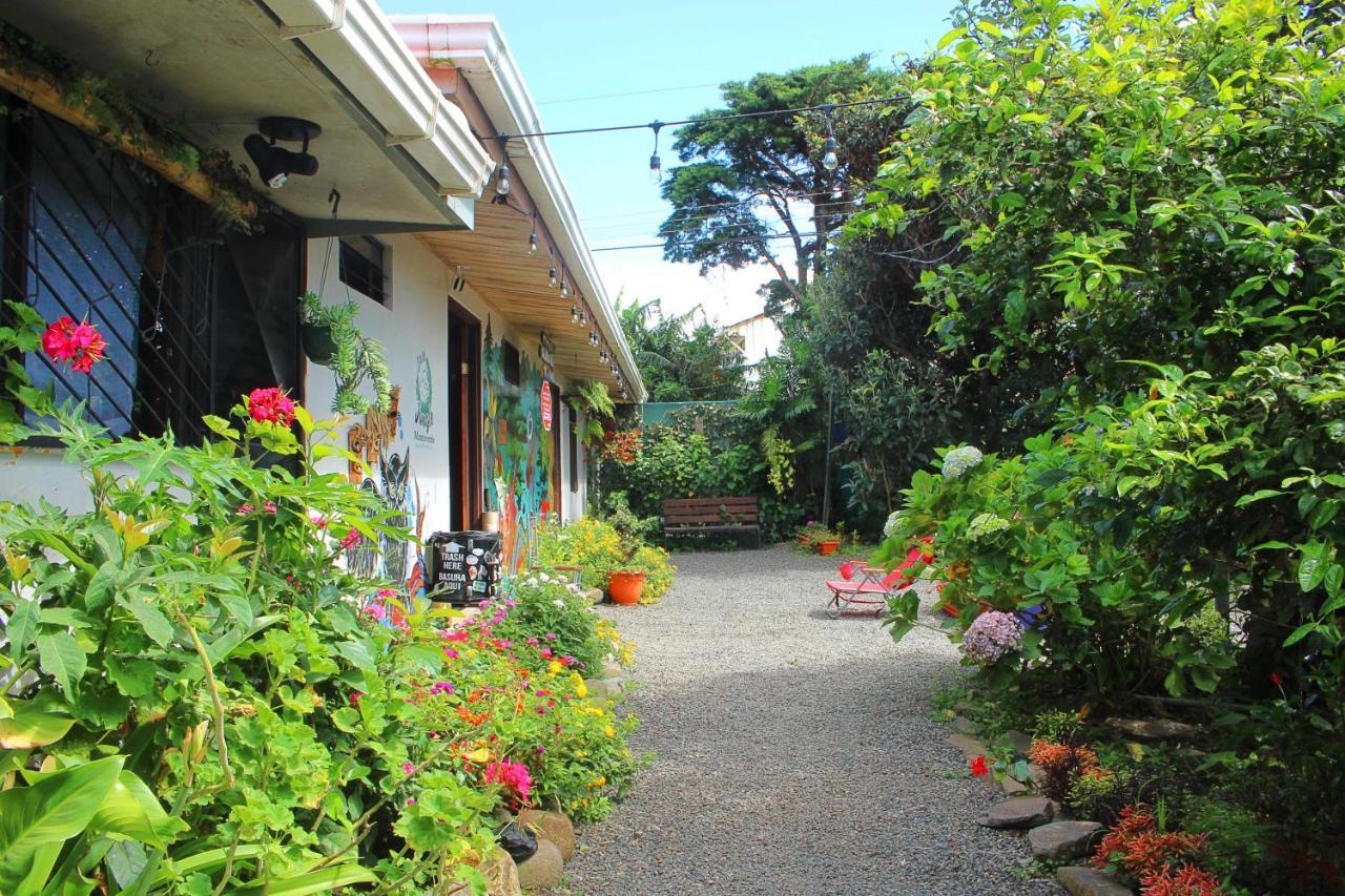 Casa Jungle Monteverde B&B Exterior foto