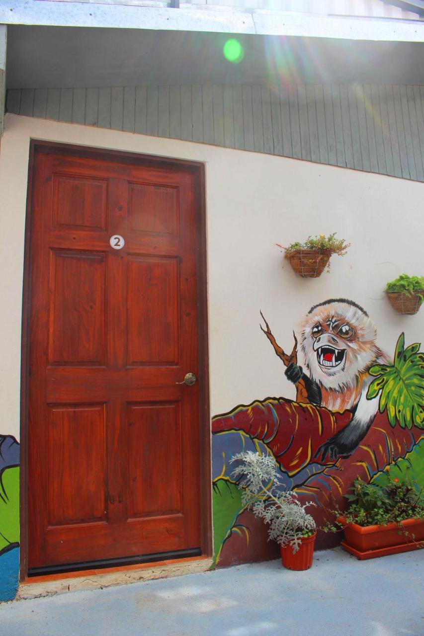 Casa Jungle Monteverde B&B Exterior foto